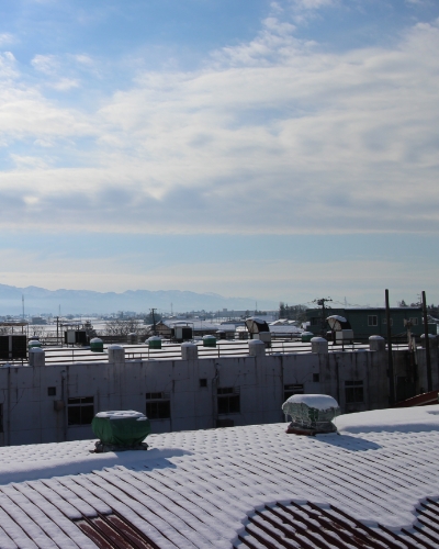 私たちが、つなぐミライ