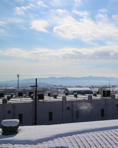 私たちが、つなぐミライ